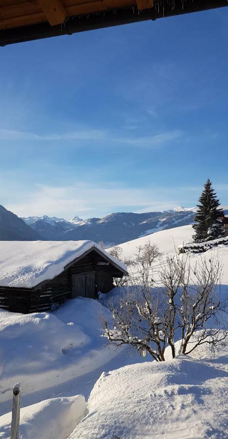 Appartement Bergpanorama Flachau Luaran gambar